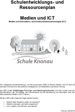 Schulentwicklungs- und Ressourcenplan Medien und ICT