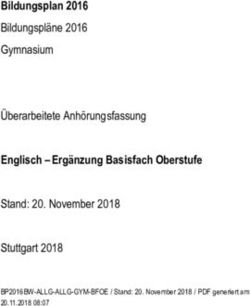 Bildungsplan 2016 - Englisch - Ergänzung Basisfach Oberstufe Bildungspläne 2016 Gymnasium Überarbeitete Anhörungsfassung Stand: 20. November 2018 ...