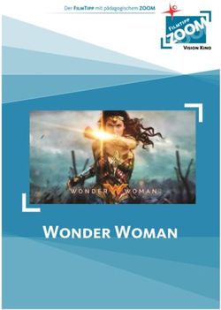 Wonder Woman - Vision Kino