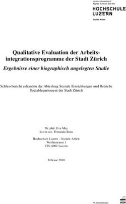 Qualitative Evaluation der Arbeits-integrationsprogramme der Stadt Zürich Ergebnisse einer biographisch angelegten Studie