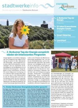 Stadtwerkeinfo - Stadtwerke Borkum