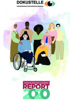 REPORT 2020 - Dokustelle Österreich