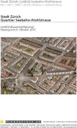 Stadt Zürich Quartier Seebahn-/Hohlstrasse - Stadt Zürich; Leitbild Seebahn-/Hohlstrasse