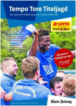 Tempo Tore Titeljagd - Rhein-Zeitung