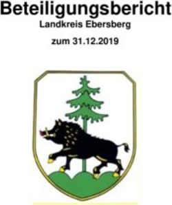 Beteiligungsbericht Landkreis Ebersberg zum 31.12.2019 - Landratsamt Ebersberg
