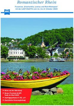 Romantischer Rhein Flussreise "Drachenfels, Loreley und Main-Metropole" mit der LADY DILETTA vom 11. bis 17. Oktober 2020 - NWZonline