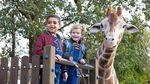 PROGRAMMHEFT - bis 30. November 2018 - f&uuml;r Grundschulen und Oberschulen in Berlin - SchulKinoWochen Berlin