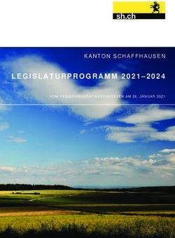 LEGISLATURPROGRAMM 2021-2024 - KANTON SCHAFFHAUSEN VOM REGIERUNGSRAT BESCHLOSSEN AM 26. JANUAR 2021