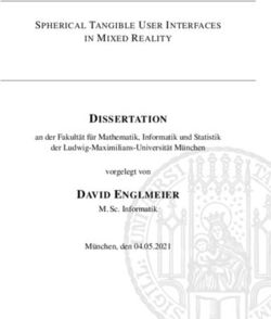 DAVID ENGLMEIER DISSERTATION - SPHERICAL TANGIBLE USER INTERFACES IN MIXED REALITY - LMU ...