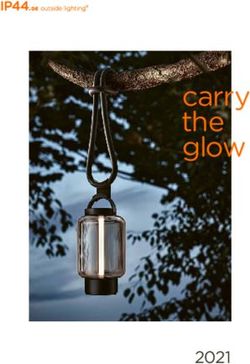 Carry the glow 2021 - Attilum