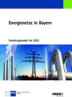Energienetze in Bayern - Handlungsbedarf bis 2022