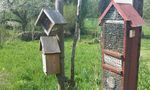Nisthilfen für Wildbienen & Co - So wird Ihr Garten oder Balkon zur Heimat für Wildbienen - Deutsche Umwelthilfe eV