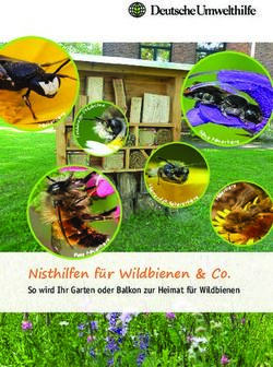 Nisthilfen f&uuml;r Wildbienen & Co - So wird Ihr Garten oder Balkon zur Heimat f&uuml;r Wildbienen - Deutsche Umwelthilfe eV