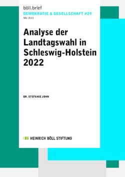 Analyse der Landtagswahl in Schleswig-Holstein 2022 - DEMOKRATIE & GESELLSCHAFT #29