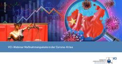 VCI-Webinar Ma&szlig;nahmenpakete in der Corona-Krise