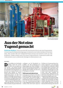 Aus der Not eine Tugend gemacht - Bulletin.ch