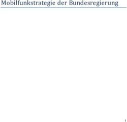 Mobilfunkstrategie der Bundesregierung - BMVI