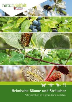 Heimische Bäume und Sträucher Artenreichtum im eigenen Garten erleben