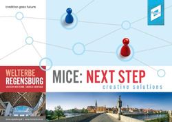 MICE: NEXT STEP creative solutions - mice-in-regensburg.de