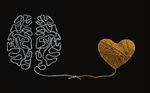 PIONERO - INTELLIGENZ MIT HERZ UND VERSTAND - K-LINE