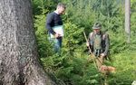 Waldverbandaktuell Infomagazin f&uuml;r aktive Waldbewirtschaftung - Ausgabe 1/2018 waldverband-stmk.at - Waldverband &Ouml;sterreich