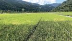 Waldverbandaktuell Infomagazin f&uuml;r aktive Waldbewirtschaftung - Ausgabe 1/2018 waldverband-stmk.at - Waldverband &Ouml;sterreich