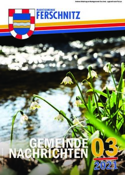 GEMEINDE NACHRICHTEN - FERSCHNITZ - Gemeindeserver