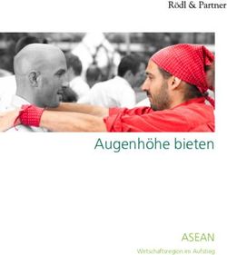 Augenh&ouml;he bieten ASEAN - Wirtschaftsregion im Aufstieg - R&ouml;dl & Partner