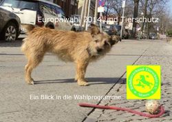 Europawahl 2014 und Tierschutz - Ein Blick in die Wahlprogramme