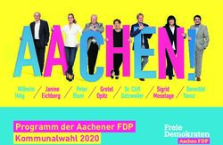Programm der Aachener FDP Kommunalwahl 2020