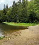 50 Jahre Nationalpark Bayerischer Wald - Ein nicht nur medizinhistorischer Rückblick