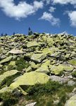 50 Jahre Nationalpark Bayerischer Wald - Ein nicht nur medizinhistorischer Rückblick