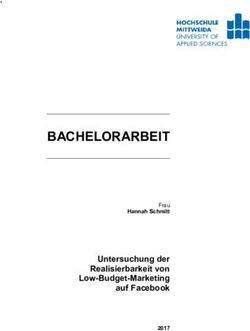 BACHELORARBEIT - Untersuchung der Realisierbarkeit von Low-Budget-Marketing auf Facebook - Hochschule Mittweida