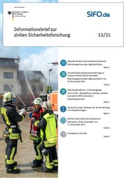 Informationsbrief zur zivilen Sicherheitsforschung