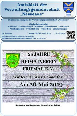 Amtsblatt der Verwaltungsgemeinschaft "Nesseaue" - VG Nesseaue
