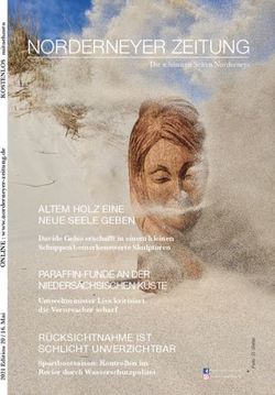 NORDERNEYER ZEITUNG Die sch&ouml;nsten Seiten Norderneys