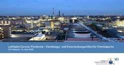 Leitfaden Corona-Pandemie - Handlungs- und Entscheidungshilfen für Chemieparks - VCI-Webinar, 16. April 2020