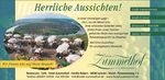 Mosel Forum 2019 | 2020 - G&auml;stezeitung der R&ouml;mischen Weinstra&szlig;e - deskline.net