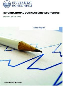 INTERNATIONAL BUSINESS AND ECONOMICS - Master of Science Studienplan - Universität Hohenheim