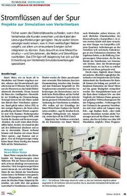 Stromfl&uuml;ssen auf der Spur - Projekte zur Simulation von Verteilnetzen - Adaptricity