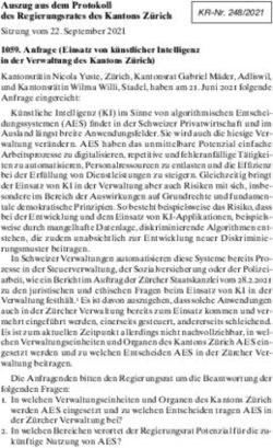 Auszug aus dem Protokoll des Regierungsrates des Kantons Z&uuml;rich - Auszug aus dem Protokoll des ...