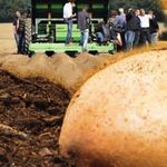 T H E Making your business grow - 13. September Rittergut Bockerode bei Hannover - Potato Europe