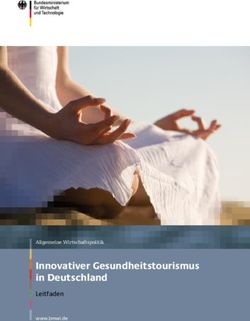 Innovativer Gesundheitstourismus in Deutschland - Leitfaden Allgemeine Wirtschaftspolitik
