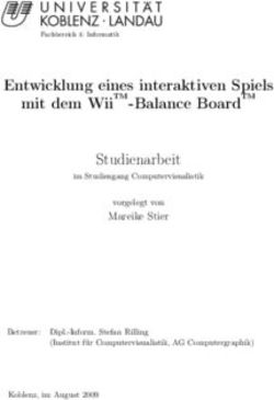 ENTWICKLUNG EINES INTERAKTIVEN SPIELS - MIT DEM WIITM-BALANCE BOARDTM