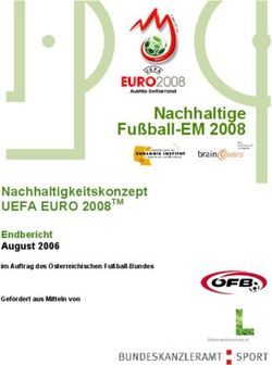Nachhaltige Fußball-EM 2008 - Nachhaltigkeitskonzept UEFA EURO 2008TM Endbericht August 2006 im Auftrag des Österreichischen Fußball-Bundes