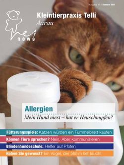 Aarau Kleintierpraxis Telli - Tierklinik Basel, M&uuml;nchenstein