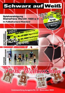 Frohe Weihnachten Vereinszeitung Ausgabe Nr. 43 Dezember 2020 - Spvgg. Steinefrenz/Weroth