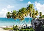Karibische Inseln mit Mein Schiff - Flug p.P. schon ab € 2.499 - Hanseat Reisen