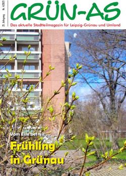 Fr&uuml;hling in Gr&uuml;nau Vom Eise befreit - Das aktuelle Stadtteilmagazin f&uuml;r Leipzig-Gr&uuml;nau und Umland