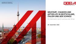 NEUSTART, CHANCEN UND AKTUELLES IN DEUTSCHLAND, ITALIEN UND DER SCHWEIZ - Im Nahmarkt durch und aus der Krise - WKO